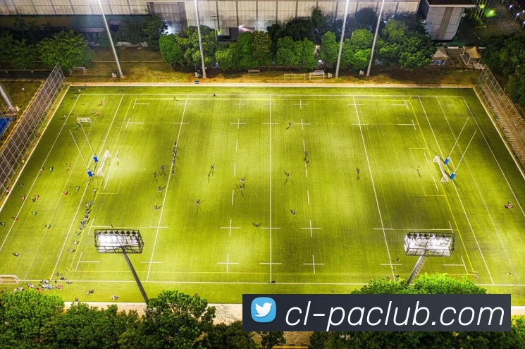 PA官方入口平台生态图